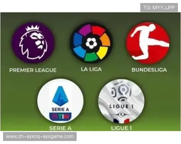 德国足球队为何未进入英超联赛的原因探讨